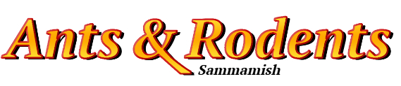 Sammamish Ant Exterminator & Rodent Control Company Logo